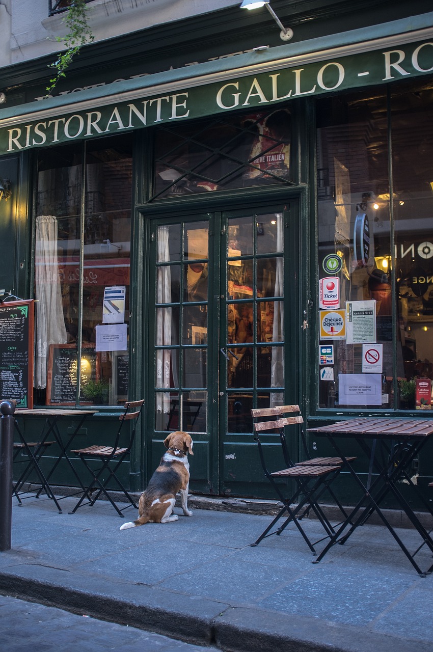 french restaurant, brewery, paris-2506490.jpg